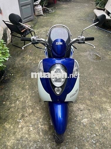 elite 50 dk 2019 bstp 9 chủ