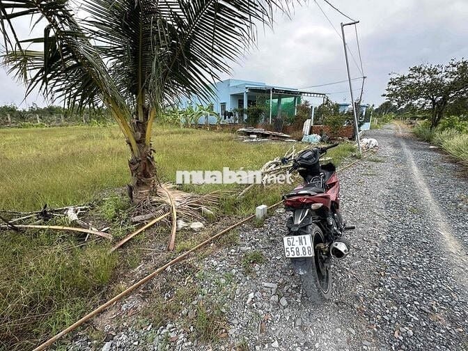 🌈🌈 500m có sẵn 180m thổ - ấp 1, Bình Đức, nhựa 816 vào 500m