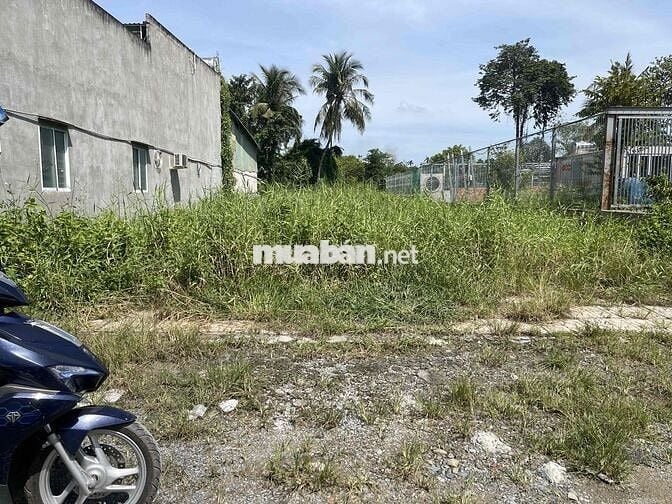 Bán gấp lô đất 509m2 , 1/ tỉnh lộ 9, đường xe tải thông