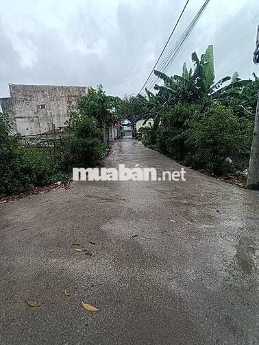 200m² Đất sổ hồng riêng, tặng thêm 100m,HXH tận cửa, Tân Hiệp Hóc Môn
