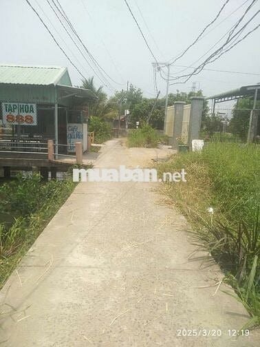🌴 BÁN ĐẤT ĐẸP TRUNG TÂM TÂN AN – GIÁ TỐT CHO NHÀ ĐẦU TƯ 🌴