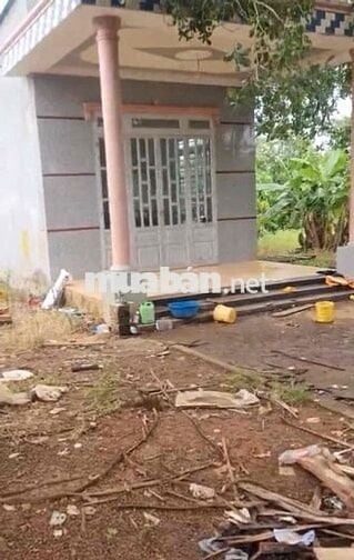 Chính chủ bán gấp 1 ha đất vườn có nhà cấp 4 giá rẻ