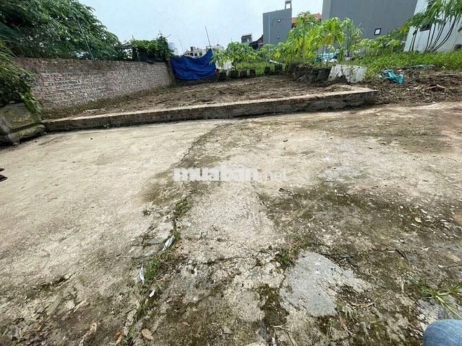 Bán 52m đất thôn Ấp Tre, tổ 9, Quang Minh. Mặt tiền rộng 6m, full thổ