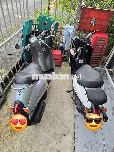 Scoopy 50, today 50, sh 125