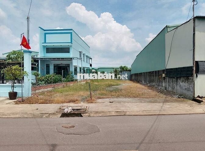 BÁN ĐẤT THỔ CƯ 310M2 XÃ TÂN THÔNG HỘI CỦA CHI