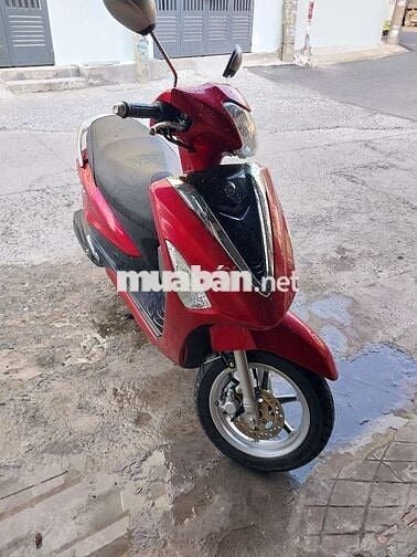 Acruzo fi zin bstp chứng giấy