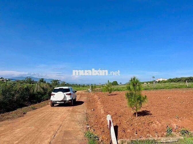 BÁN LÔ ĐẤT ĐẸP TẠI LÂM HÀ – LÂM ĐỒNG  GIÁ CHỈ 650TR