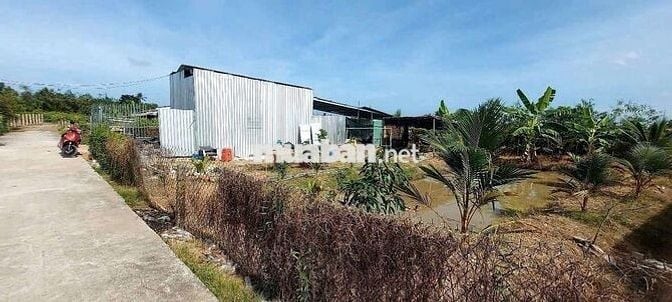 Đất vườn xã vĩnh công tỉnh Long An ( tây ninh)