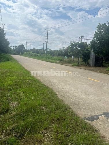 MT TỈNH LỘ 600A, 30000M2, 700m2 THỔ, QH THỔ CƯ