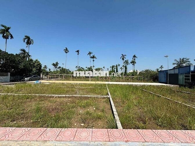 Bán Đất Bát Trang An Lão sổ đỏ gần khu CN Tràng Duệ 3