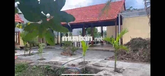 Bán nhà ở và kinh doanh quán cà phê, quán nhậu