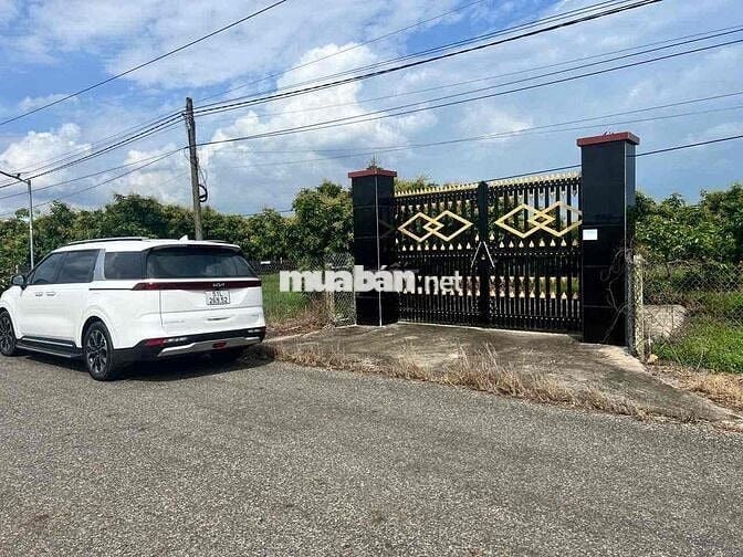 Bán Đất biệt thự vườn 2 mặt tiền đường nhựa