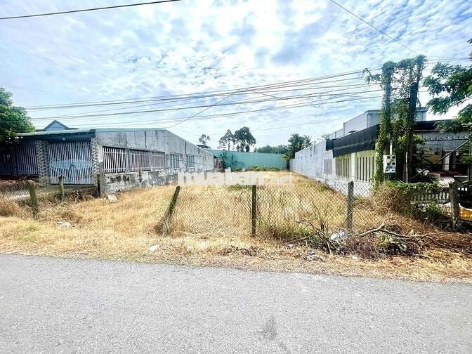 GIÁ TỐT CHO ĐẤT Ở TRẢNG BÀNG. SÁT TRƯỜNG HỌC. 157M2. THỔ ĐỦ. SHR