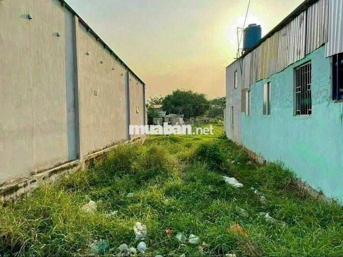 BÁN ĐẤT: 1/ Hương Lộ 2 TT Trảng Bàng Tây Ninh - SHR