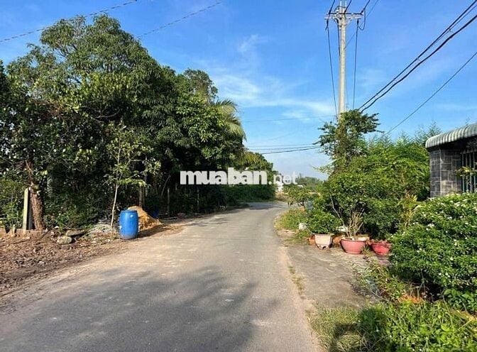 BÁN ĐẤT: 224m2 thổ cư đường Lộc Khê - TT Trảng Bàng - SHR