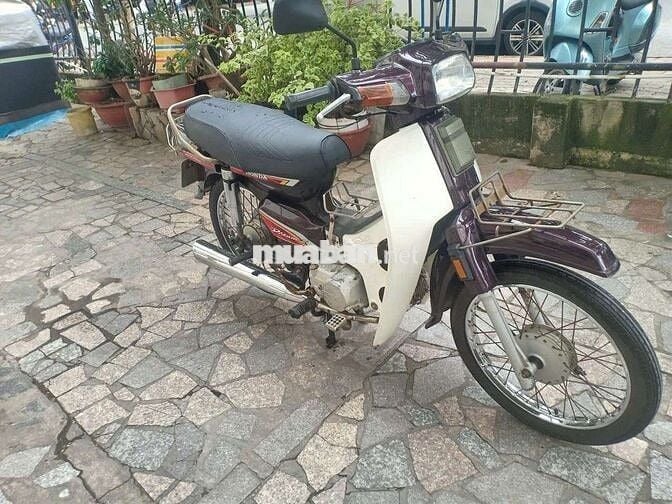 Xe dream Hàn Quốc