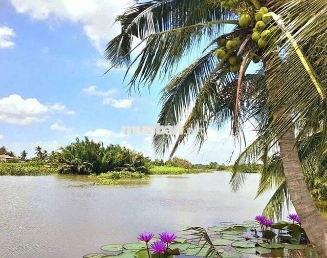 Chỉ 700tr sở hữu 703m2 đất vườn view sông cực đẹp