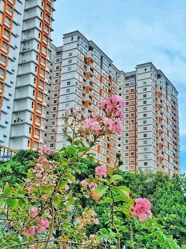 Dragon  Hill 2- 51,5m2 2pn 1wc, full NT mới, SHR. View Đông Nam (mát)
