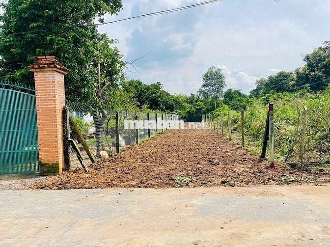 Đất mặt tiền đường nhựa 488- Phú Hòa Đông: 278m2-101m2 Thổ cư-1 tỷ 300