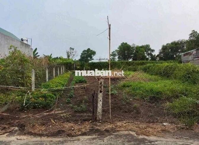 Đất Tân An nhánh Huỳnh Thị Hiếu đường bê tông 4m.nở hậu 13,9m