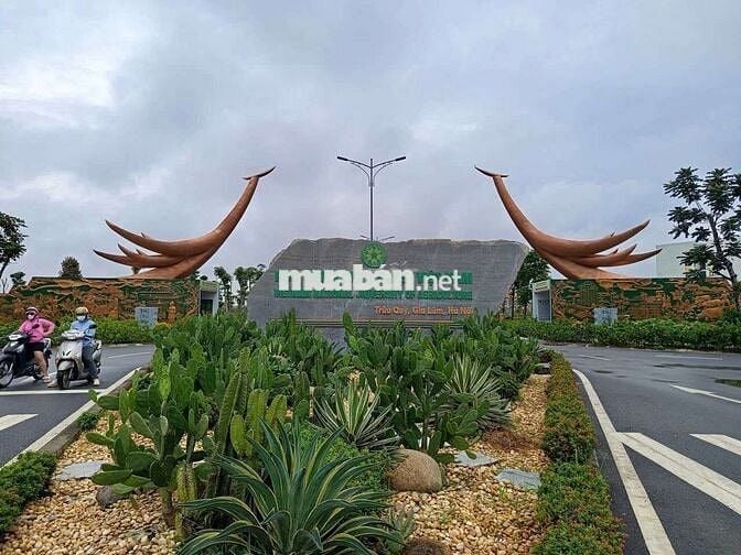 BÁN ĐẤT THÀNH TRUNG GIA LÂM
80M2 - M.T 5 M - OTO TRÁNH