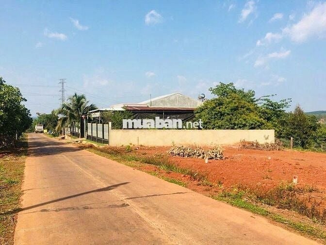 1.6tr/m2 đất Khu dân cư Thị trấn Tân Phú, cách CoopMart huyện đúng 1km