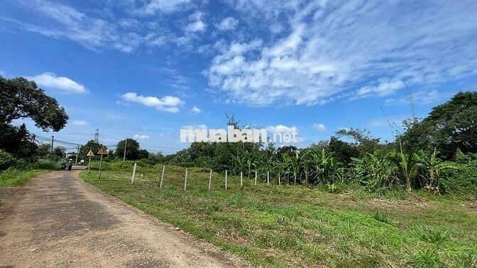 Đất ngộp giá cực rẻ sẵn thổ cư ven suối gần KCN, sát SBay LT chỉ 17km