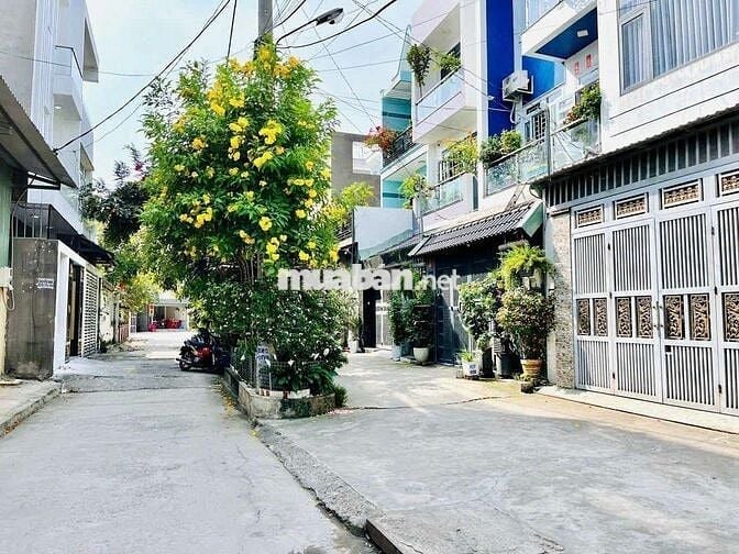 Cho thuê nhà 2 lầu, đường 2 xe hơi né nhau