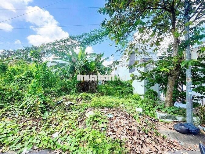 Bán Nền 81m² Đường B15 KDC Phú An, phường Hưng Phú, TP Cần Thơ