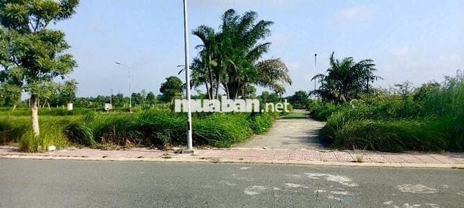 Bán đất cực đẹp trung tâm Đức Hòa - Sổ hồng riêng full thổ cư 100%!