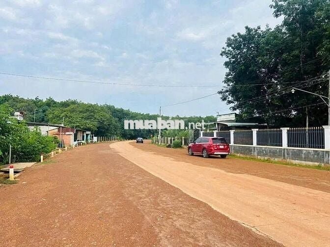 Vị trí đẹp gần nhất KCN Tân Tiến 1-2, đường 29m nhựa