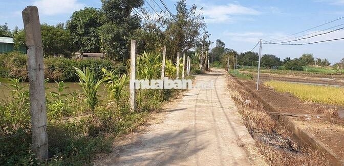 Chính chủ bán đất rẫy xã  Hoà Phú - Buôn Ma Thuột