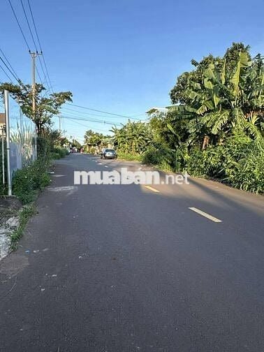 🔥 MẶT TIỀN ĐƯỜNG A5 (10x25M)– BUÔN MA THUỘT, BAO KHU VỰC🔥