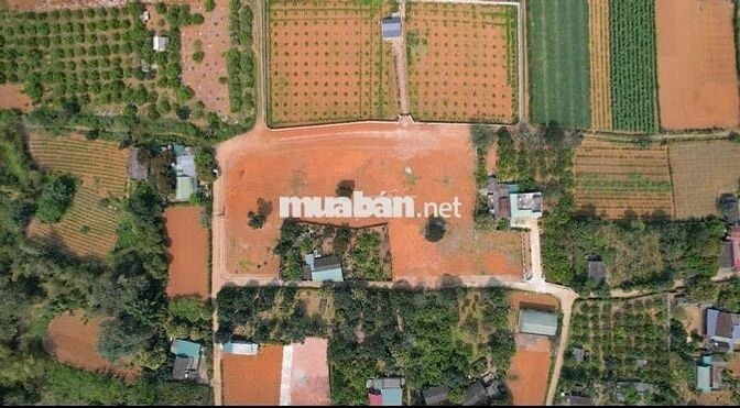 Chính chủ bán đất nền 145m2 trong lõi KCN Bảo Hiệu, giá siêu tốt 5xxtr