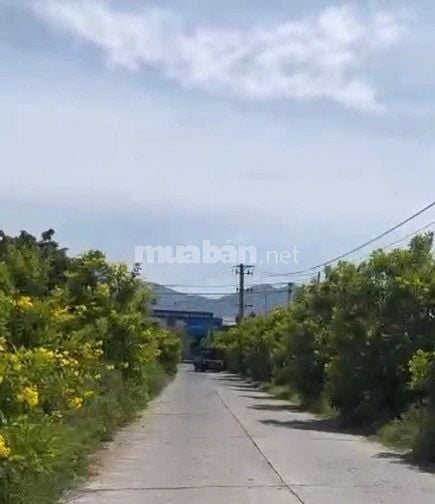 Đất mặt tiền Huỳnh Thúc Kháng - Diên Toàn - Diên Khánh