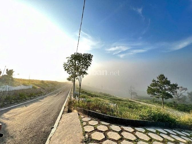 🔥[HOT] Duy nhất còn 1 lô tại NaLi Chill - Homestay and BBQ giá bán ch