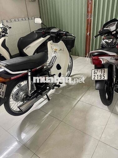 bán Dream thái đẹp keng