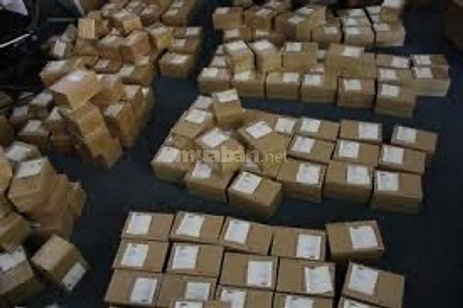 KCN Tân Bình ! Tuyển 10 Bạn Lao Động Phổ Thông 8.000.000 tháng