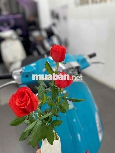 Vespa -Spin  chính chủ