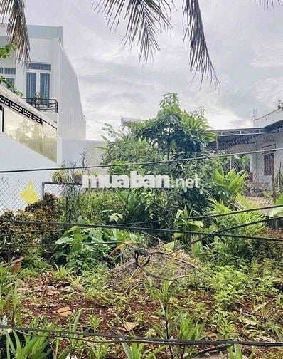 BÁN ĐẤT HẺM 128 NGUYỄN XUÂN NGUYÊN - BMT. 5x25M . GIÁ: 2,950 TỶ
