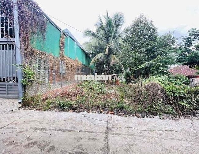 BÁN ĐẤT HẺM YNIKSOR - KHU AMAJHAO. 5x29M. GIÁ: 2,390 TỶ