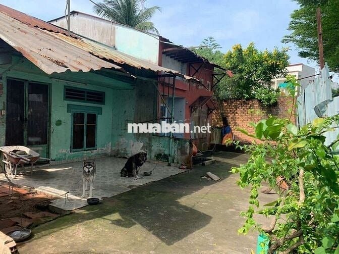 CHÍNH CHỦ BÁN CẶP ĐÔI NHÀ – SIÊU VỊ TRÍ TÂN TẠO A, BÌNH TÂ
