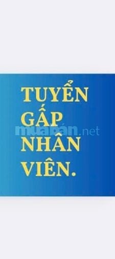 Tuyển nhân viên bán hàng tại khu vực quận gò vấp. 
