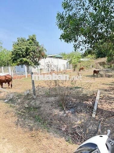 Đất thổ cư 287m2 xã đồng khởi châu thành tây ninh