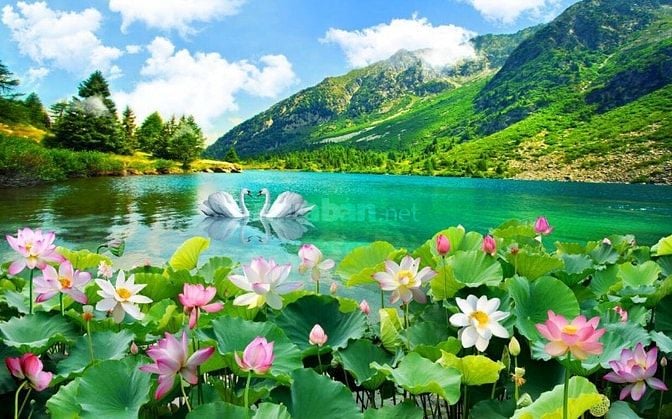 Tranh gạch 3d phong cảnh đồng quê - XCX43