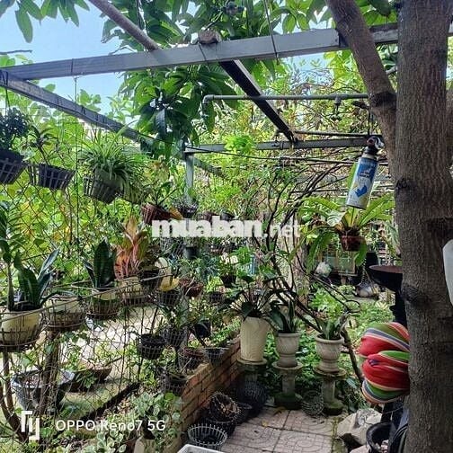 Đất thổ cư hẻm xe hơi ngay sát chợ Hóc Môn, 5m x 20m, 3.5 tỷ