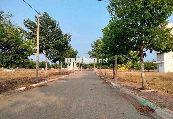 100M2 ĐẤT HÒA LONG THỔ CƯ FULL SỔ HỒNG RIÊNG