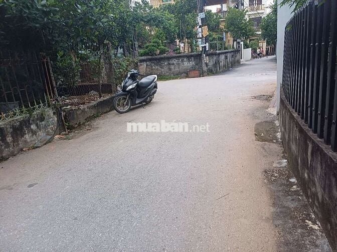 Bán đât phụng công , văn giang, hưng yên_ sát vách ecopark