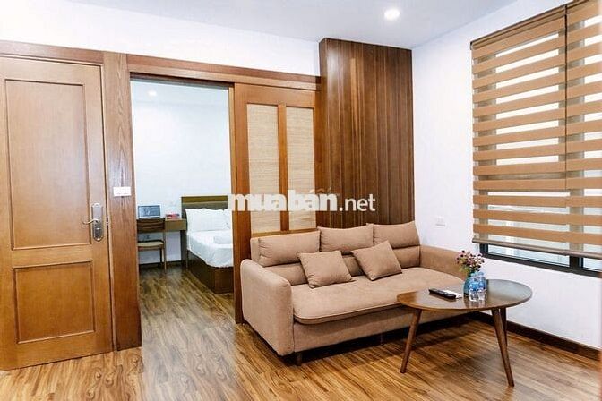 (Giảm giá) Cho thuê căn hộ 1K1N, 40m2, KV Đào Tấn, từ 10tr