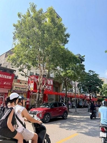 Duy nhất mặt phố Ngọc Lâm 4 tầng kinh doanh đẹp nhất phố 65m2 mt 5m